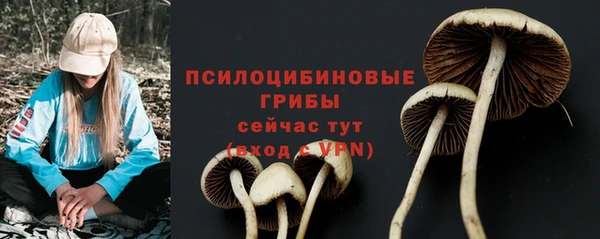 стаф Ростов