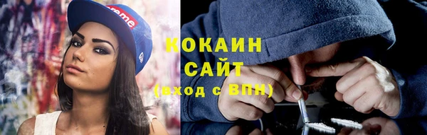 стаф Ростов