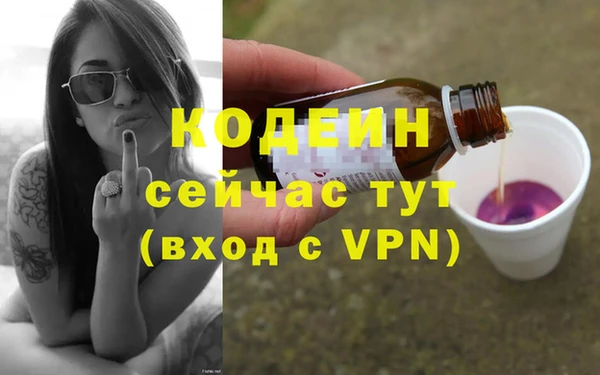 стаф Ростов