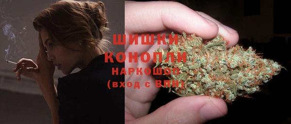 дурь Рославль