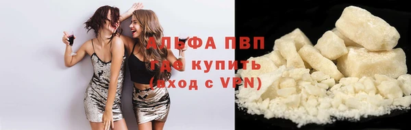 стаф Ростов