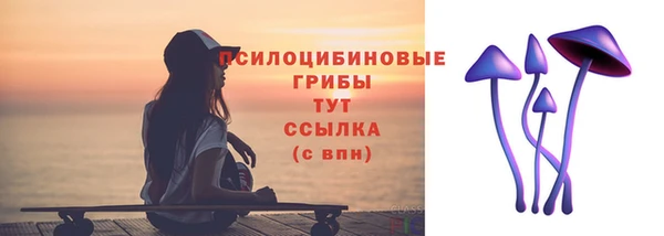 стаф Ростов