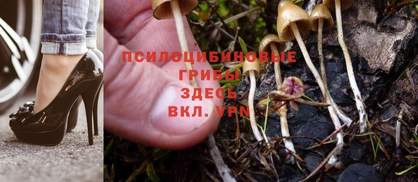 стаф Ростов
