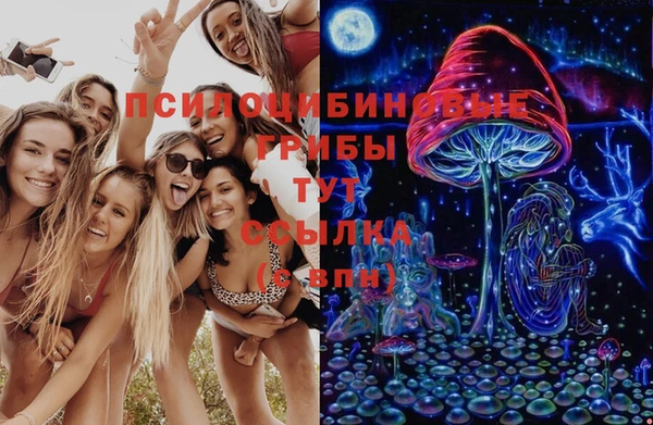 дурь Рославль