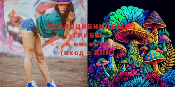 стаф Ростов