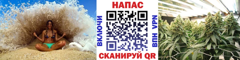 где найти наркотики  мега как зайти  Бошки марихуана THC 21%  Белозерск 